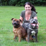 Tank & Sylver