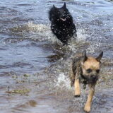 Foto van Joep en Olivia