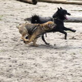 Foto van Joep en Olivia