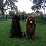Mijn twee beren.