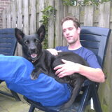 schoot hondje