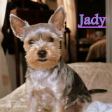Foto van *~-Sammy-Ft -Jady- Ft -Bailey-~*