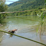 Vakantie frankrijk 2011