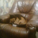 Jengka en kater Jens slapen. Sssst..