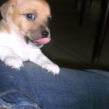 Tobi