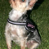 Foto van *~-Sammy-Ft -Jady- Ft -Bailey-~*
