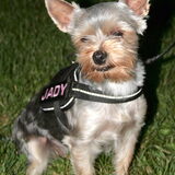 Foto van *~-Sammy-Ft -Jady- Ft -Bailey-~*