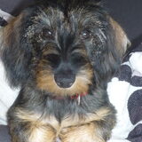 schattig.....