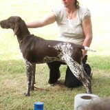 Foto van kelly,s black favoriete