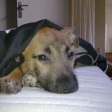 Zo even lekker uitrusten op mama's bed!!