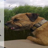 Foto van silke & woody