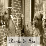Foto van silke & woody