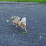 Foto van Sandra en Fleurtje