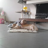 Dina en Tara