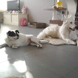 Jessy en Storm