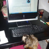 even kijken of er nog wat te beleven valt op de pc