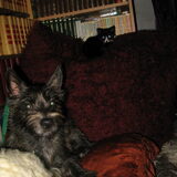 Bobby met haar nieuwe huisgenootje, de poes Mimi.