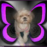 Foto van MaSpi///