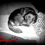 Foto van MaSpi///