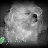 Foto van MaSpi///