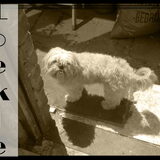 Foto van MaSpi///