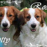 Roxie en Scotty