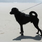 weer op het strand