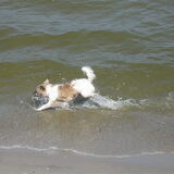 Foto van Jacqy & Izzy