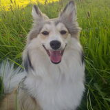 smile
