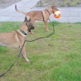 Foto van Hope & Rambo