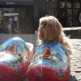 Foto van liesbeth,Turbo,Luna, Levi en Faith