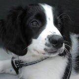 Op de boot mn lieve pino.