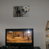 Onze canvas aan de muur
