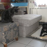 Foto van sofie, Lucky en Zita <3