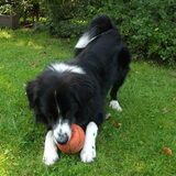 Foto van silke & woody