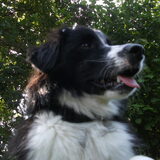 Foto van silke & woody