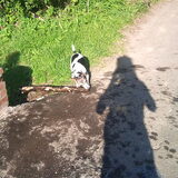 en droopy haalt hem ook een keer uit het water!