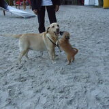 Ik met mijn beste vriendin! :)