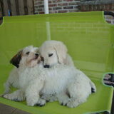 Knuffelen met Dustin