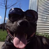 Foto van jessy en djeko