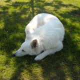 Foto van Indy