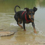 Foto van Marleen , Blacky & Justy