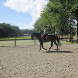 Foto van liesbeth,Turbo,Luna, Levi en Faith
