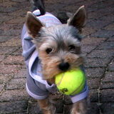 Foto van *~-Sammy-Ft -Jady- Ft -Bailey-~*