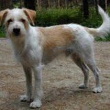 Foto van Sjoerd