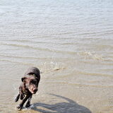 Lekker aan het strand