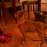 Foto van Anouk Kranenburg