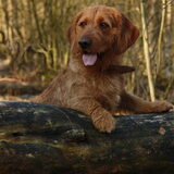 Heerlijk in het bos, mijn favoriete plek :)