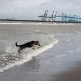 Foto van Valerie &. Arco