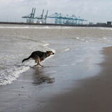 Foto van Valerie &. Arco